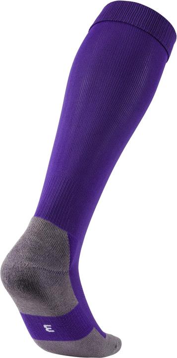 Actual product image Puma Team LIGA Socks CORE-703441 (47, 49)
