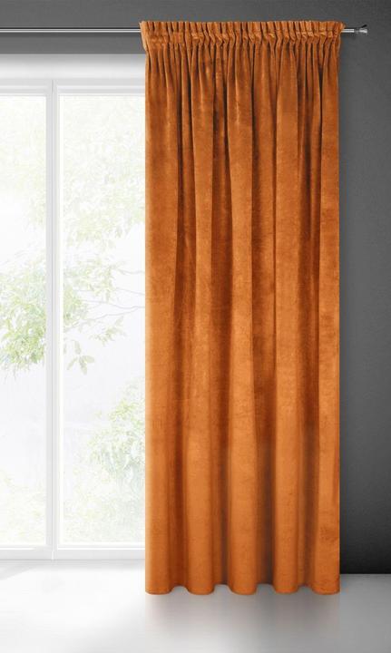 Immagine prodotto Eurofirany Tenda da notte in morbido velluto DIVA LINE RIA 140X270 cm, striscia/tunnel/ganci, 300 g (45 x 45 cm)