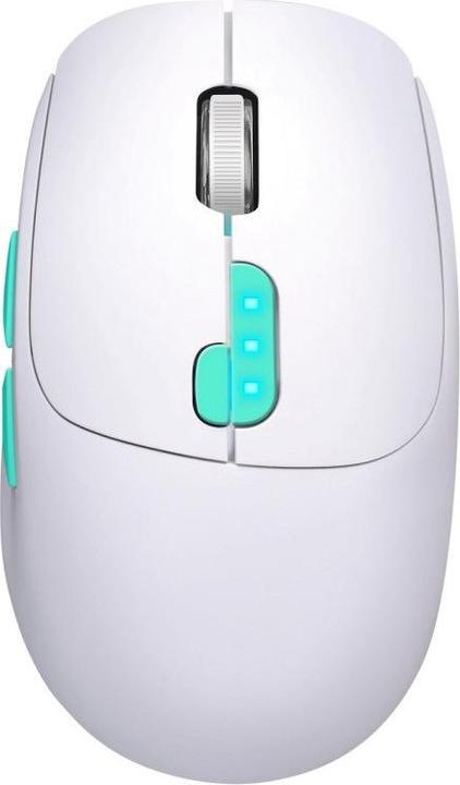 Actual product image Defender MYSZ NITTA MM-307 RF+BT OPTIC 1600dpi 6P BIAŁA (Wireless)