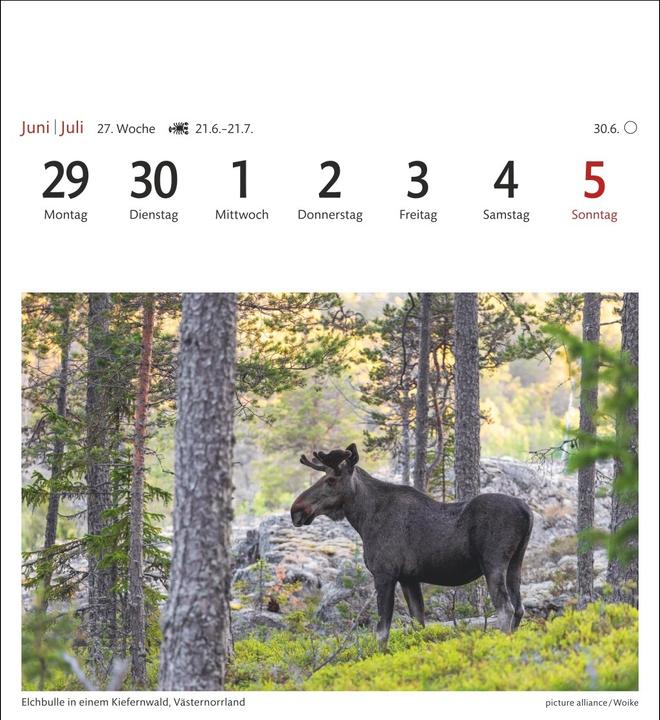 Produktbild Harenberg Schweden Sehnsuchtskalender 2026 - Wochenkalender mit 53 Postkarten (Deutsch)