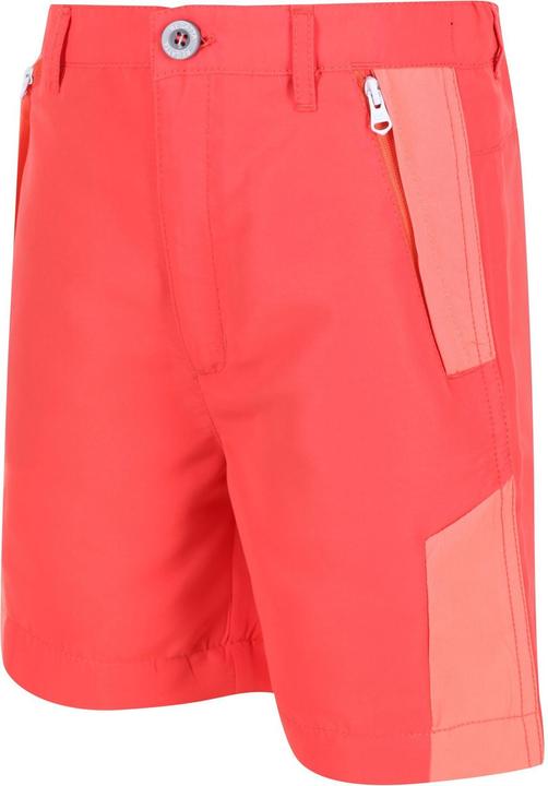 Actual product image Regatta Sorcer Ii Shorts (146)
