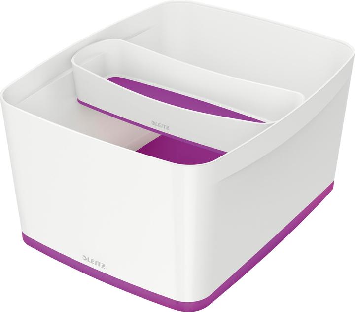Leitz MYBOX - Scatola di stoccaggio (32 x 20 x 38,5 cm, 18 l)