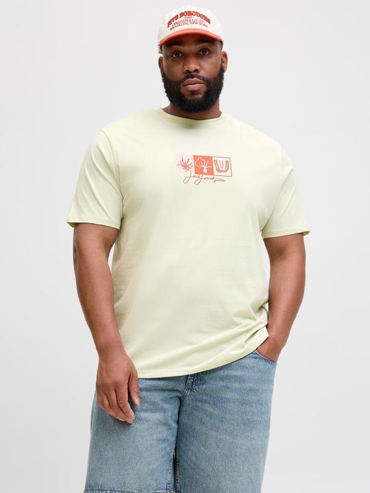 Produktbild Jack & Jones Plus Size T-shirt T-shirt (7XL)