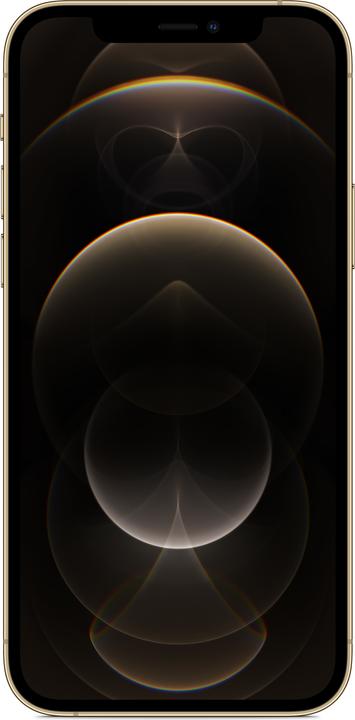 Produktbild Apple iPhone 12 Pro (256 GB, Gold, 6.10", SIM + eSIM, 12 Mpx, 5G)