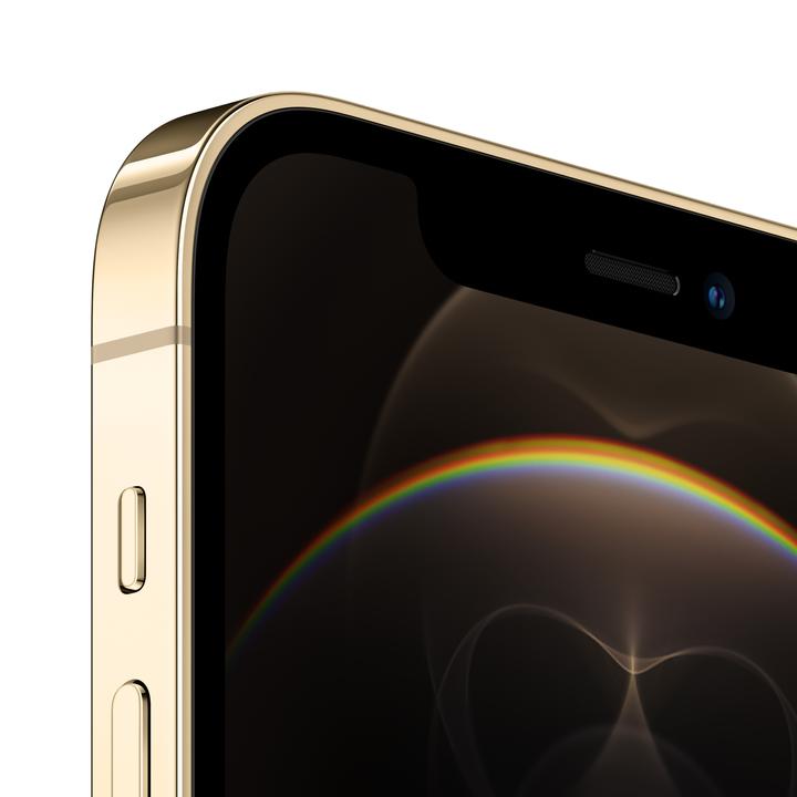 Produktbild Apple iPhone 12 Pro (256 GB, Gold, 6.10", SIM + eSIM, 12 Mpx, 5G)