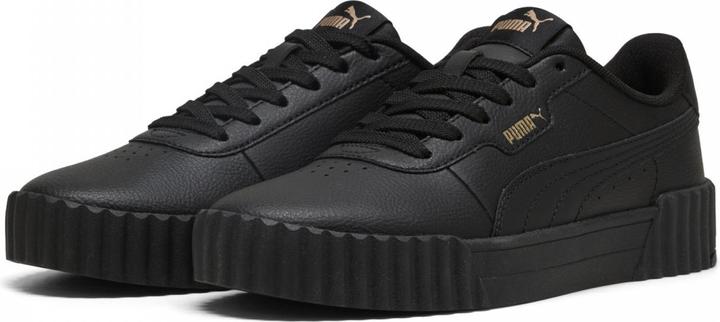 Puma Carina 3.0 (36)
