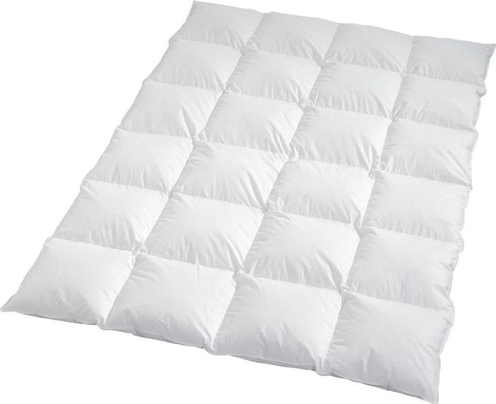 Actual product image Traumschlaf Himalaya (1300 g, 200 x 220 cm)