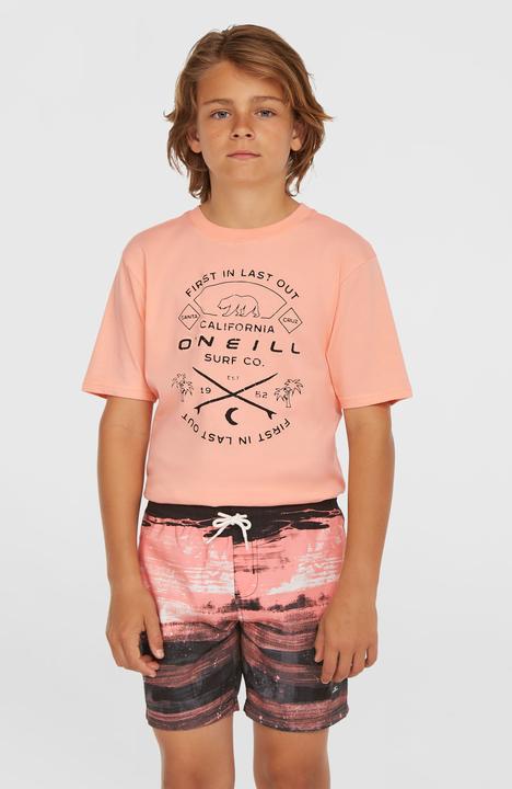 Image du produit O'Neill Cali Gradient 14" Swimshorts (104)