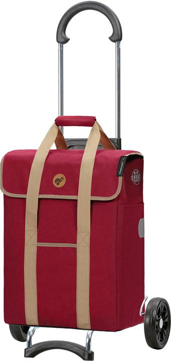 Immagine prodotto Andersen Carrello spesa Scala Ipek Mi Thermo