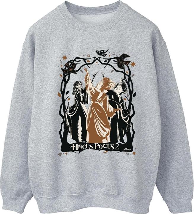 Disney Hocus Pocus Birds Sweatshirt (L)