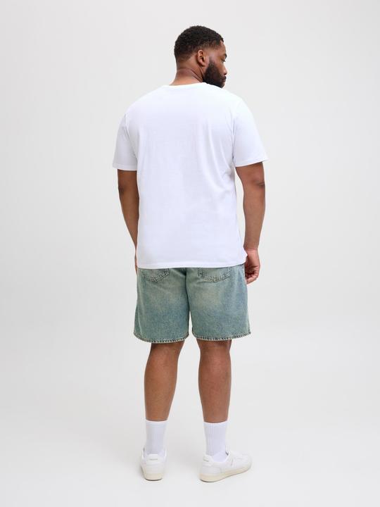 Actual product image Jack & Jones Jjitony Jjoriginal Shorts Akm 325 Ln Pls (44)