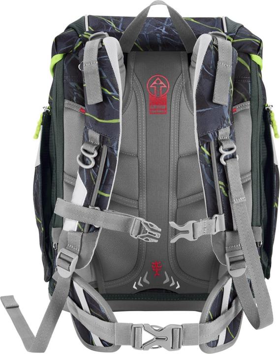Actual product image Step by Step Danger Cat Chiko (19 l)