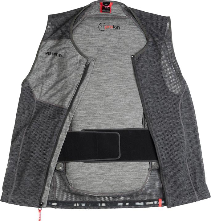 Actual product image ALPINA SPORTS Prolan (L, Back protector, Unique specimen)