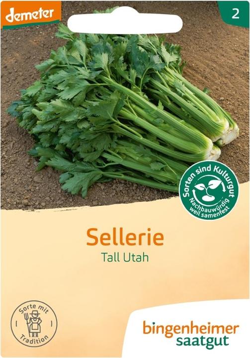 Produktbild Bingenheimer Saatgut Sellerie Stange Tall Utah (Keimlinge)