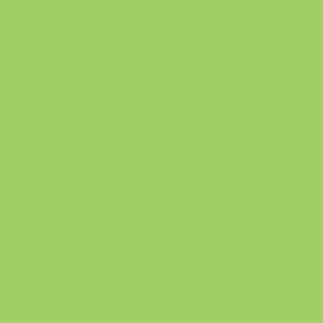 Actual product image Papyrus Rainbow Paper Green A3 (160 g/m², 250 x, A3)
