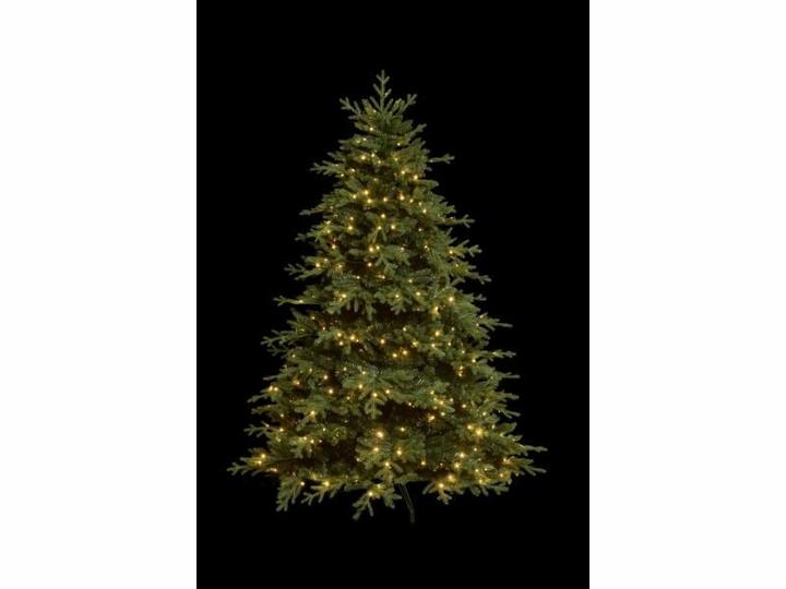 Image du produit STT Tree (180 cm)