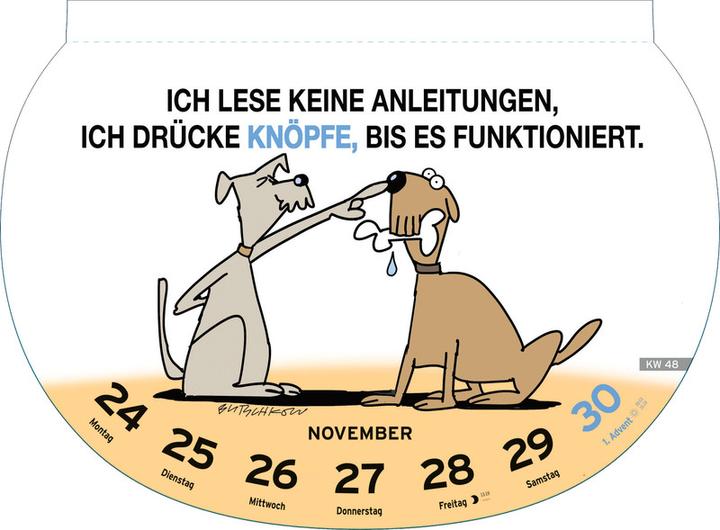 Actual product image Heye Picture Calendar Silly Sayings (21 x 29 cm, Hardcover, German)