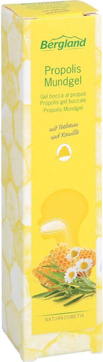 Produktbild Bergland Propolis Mundgel, 13.5 ml GEL (1 x, 13.50 ml)