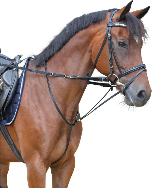 Kerbl Thiedemann reins