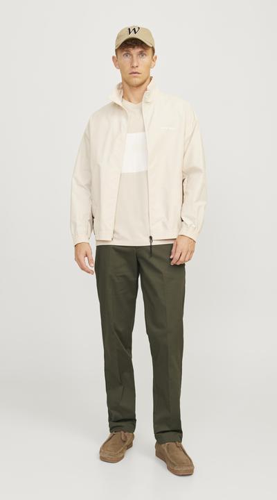 Image du produit Jack & Jones Jpstkane Jjotis Chino (31)
