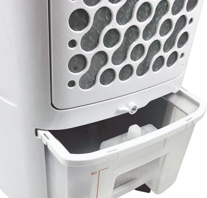 Actual product image Beper Fan for P206RAF100
