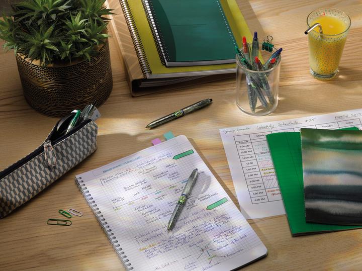 Image du produit Pilot Begreen B2P Ecoball (Noir, 1 x)