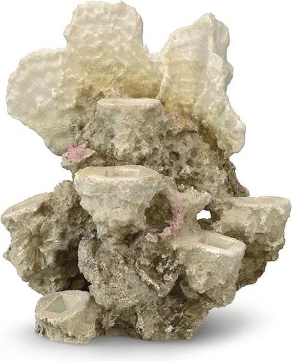 Produktbild EBI Aqua Della Coral Reef ml für 6 Korallen (Dekoration, sonstige Gegenstände)