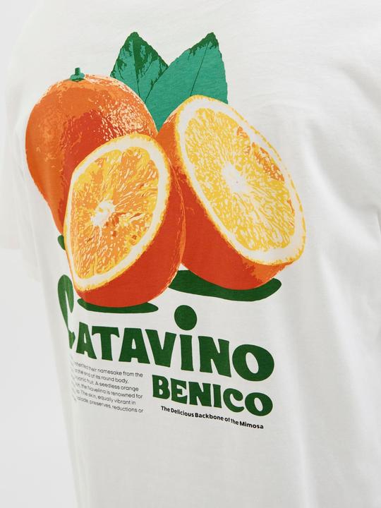 Actual product image Jack & Jones Jorbradley Fruits Tee Ss C.N Stmss25 (L)