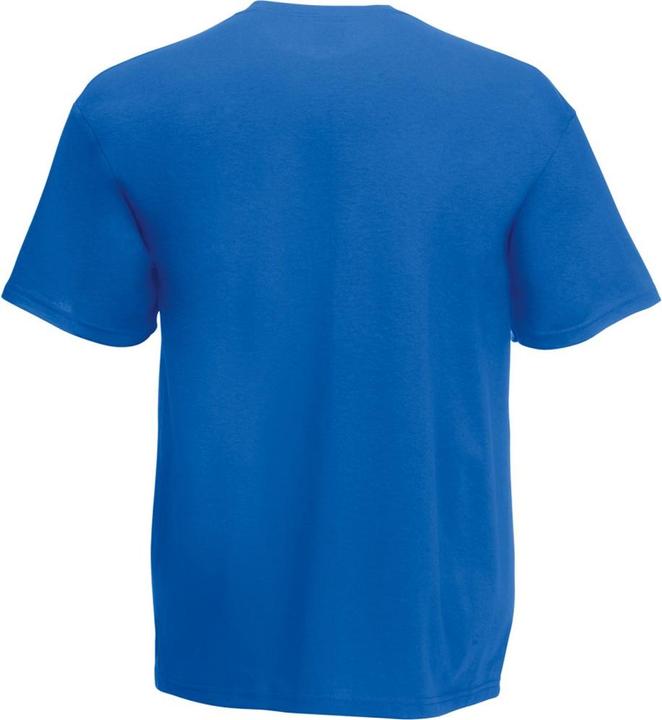 Actual product image Fruit of the Loom Screen Stars Original TShirt (XXL)