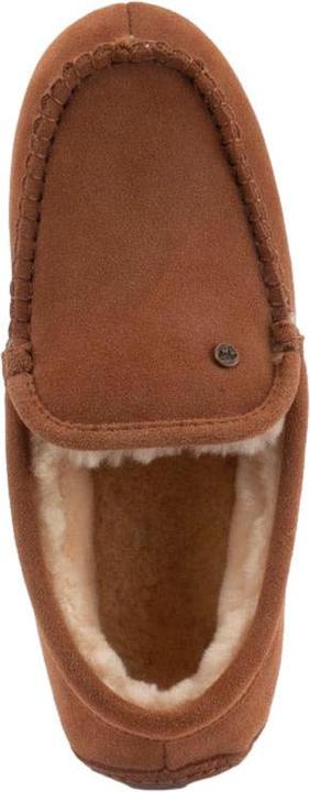 Actual product image Warmbat Earlwood (40)