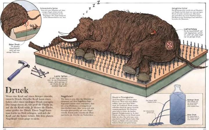 Produktbild Das Mammut-Buch Naturwissenschaften (Deutsch, Marcus Würmli, David Macaulay, 2021)