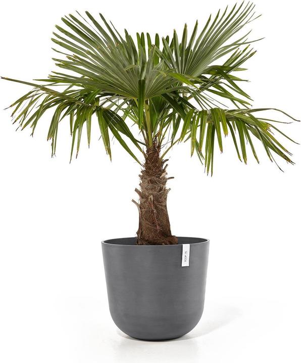 Immagine prodotto Ecopots Oslo (55 cm)
