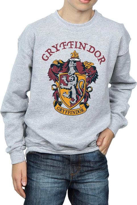 Immagine prodotto Felpa Gryffindor Ragazzi (116)