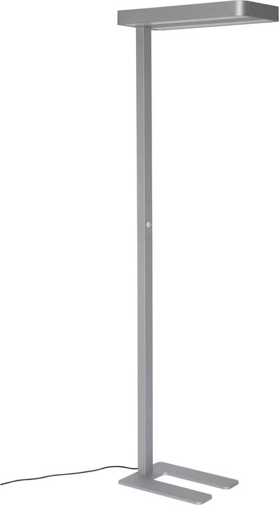 Image du produit Maul Mauljanus (3000 lm)