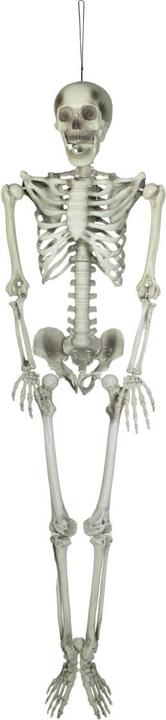 Image du produit Europalms Squelette d'Halloween, 150 cm