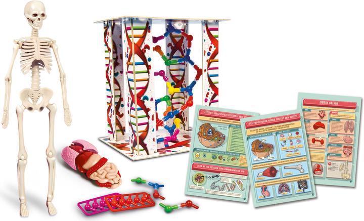 Actual product image Clementoni Human bodies