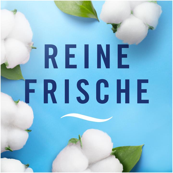 Actual product image Febreze Reine Frische