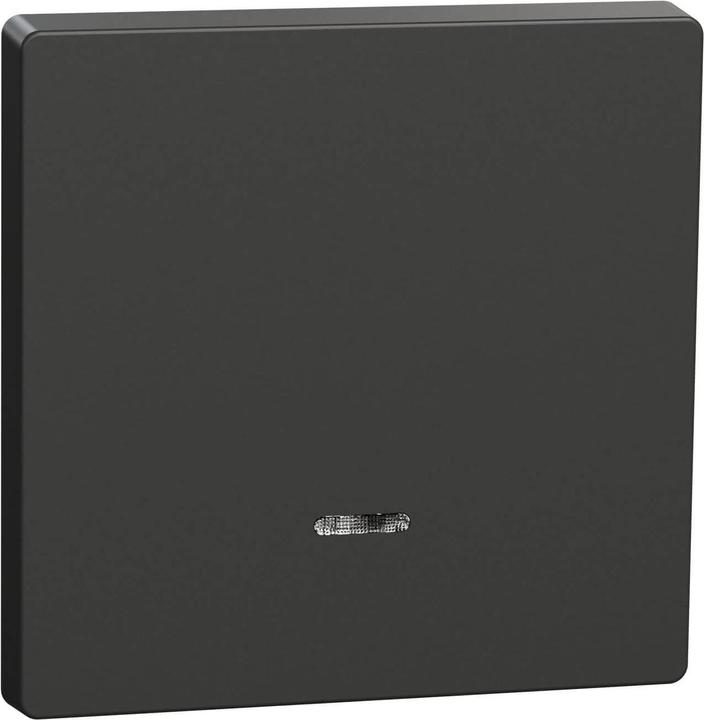 Merten Wippe Anthrazit System Design
