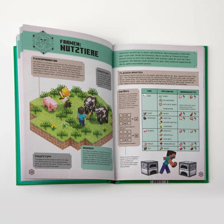 Produktbild Minecraft - Das Survival-Handbuch (Deutsch, Minecraft, Josef Shanel, Matthias Wissnet, 2022)