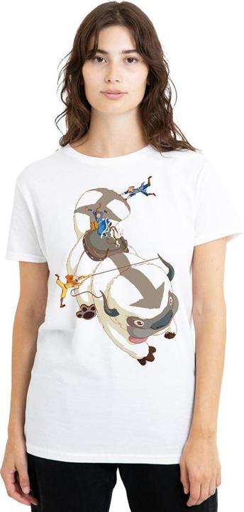 Produktbild Avatar: The Last Airbender Hang On TShirt (M)