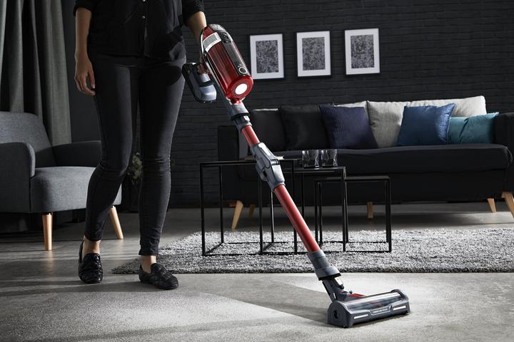 Image du produit Rowenta X-Force 11.60 Animal Care