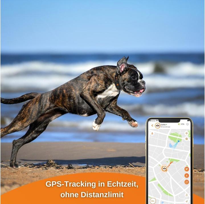 Produktbild Weenect GPS-Tracker (XS, Hund)