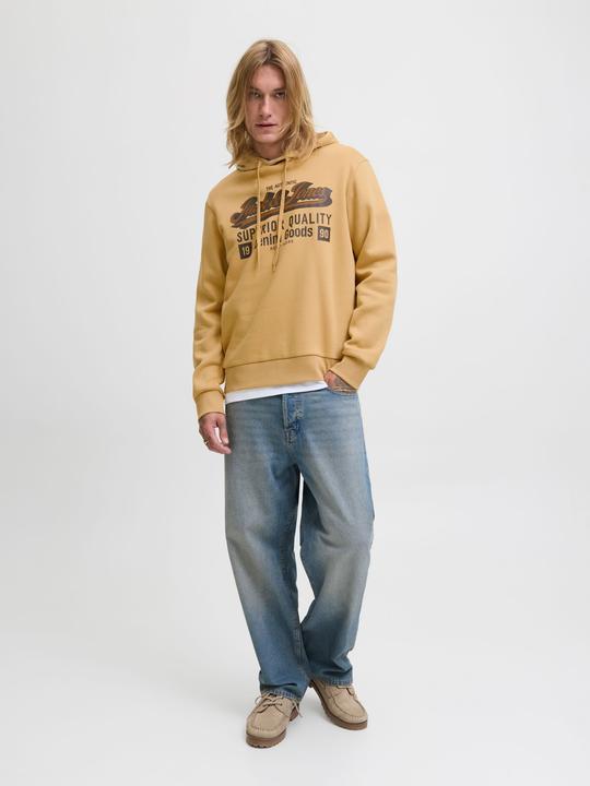 Produktbild Jack & Jones JJELOGO SWEAT HOOD 2 COL 25/26 NOOS (XS)