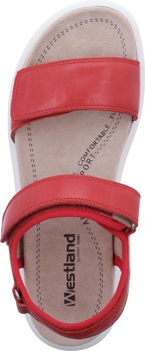Immagine prodotto Westland 25401-410 (41)
