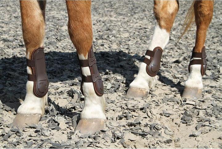 Immagine prodotto Harry's Horse Peesbeschermers Percy air