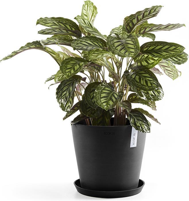 Produktbild Ecopots Saucer Round
