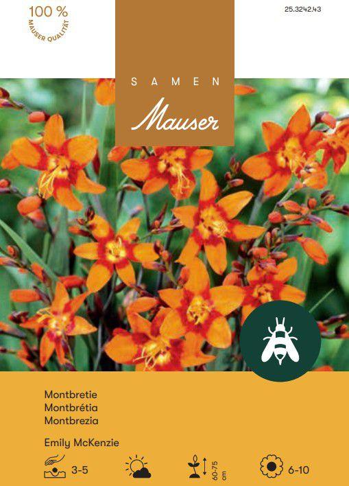 Samen Mauser Montbretie Emilie McKenzie (Graines de fleurs)