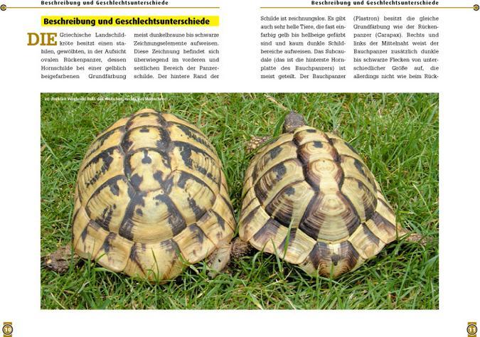 Productafbeelding Die Griechische Landschildkröte (Duits, Michael Schardt, 2015)