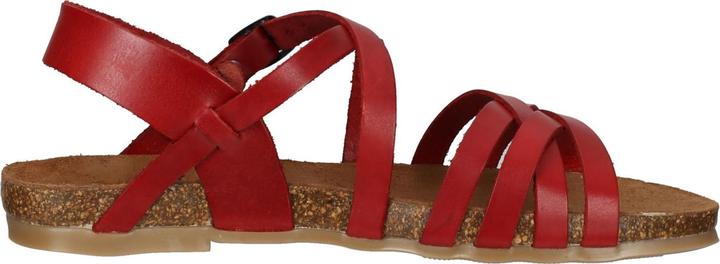 Image du produit Cosmos Comfort Un véritable atout mode! présente une sandale classique qui se porte en toute occasion (40)