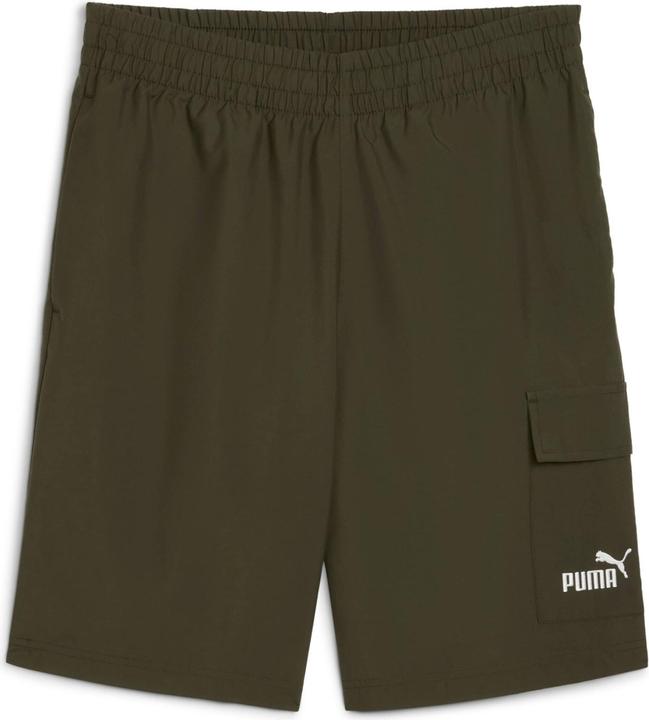 Puma ESS No. 1